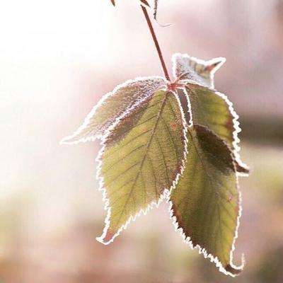 乐鱼app官网正式版下载app下载